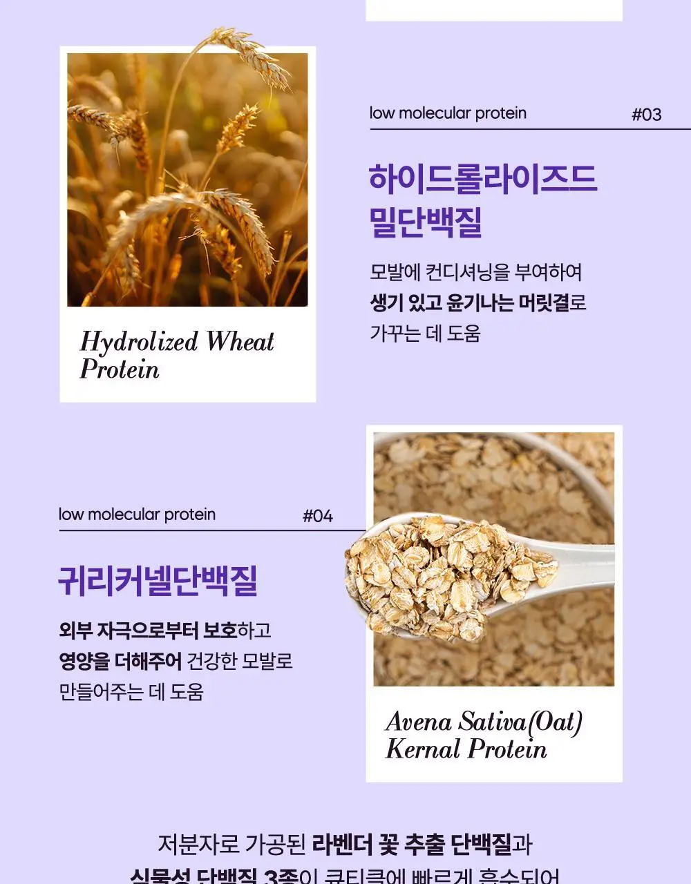 [비건인증] 헤드스파7 마일드 밸런싱 트리트먼트 샴푸 740g (탈모증상완화) 상세페이지 19